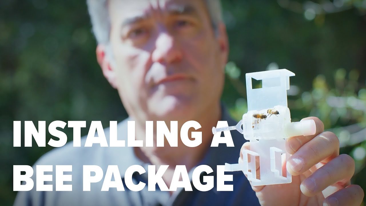 Installing a Bee Package &ndash; Step-by-Step with Wood Bee Bus