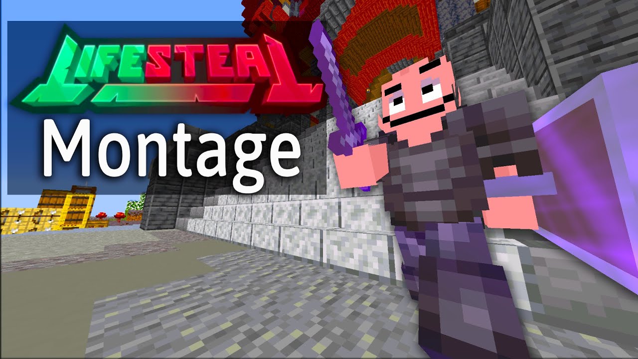 Lifesteal Net Season 3 Montage