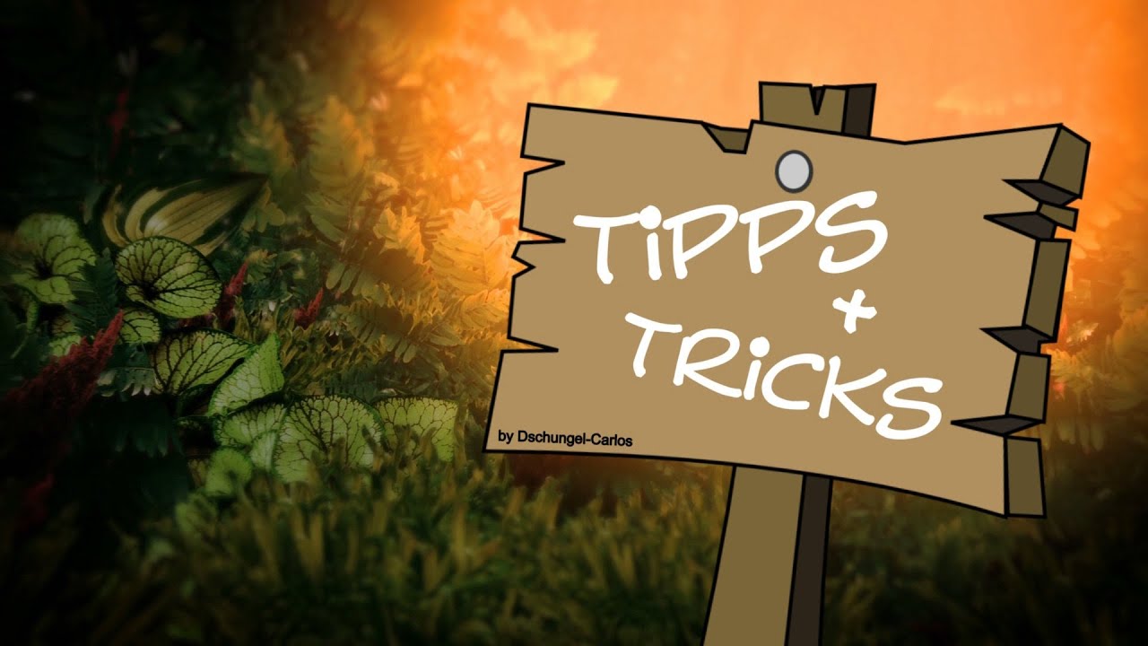 Tipps&Tricks - Knoten für den verstellbaren Pothanger