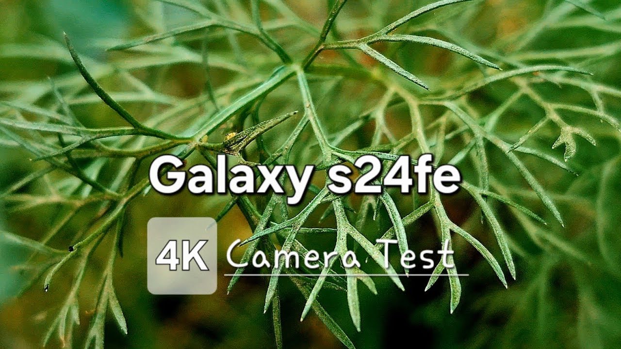 Galaxy s24fe Camera Test | Samsung Galaxy s24fe | S24FE | S24fe Camera Comparison | 4K Video |