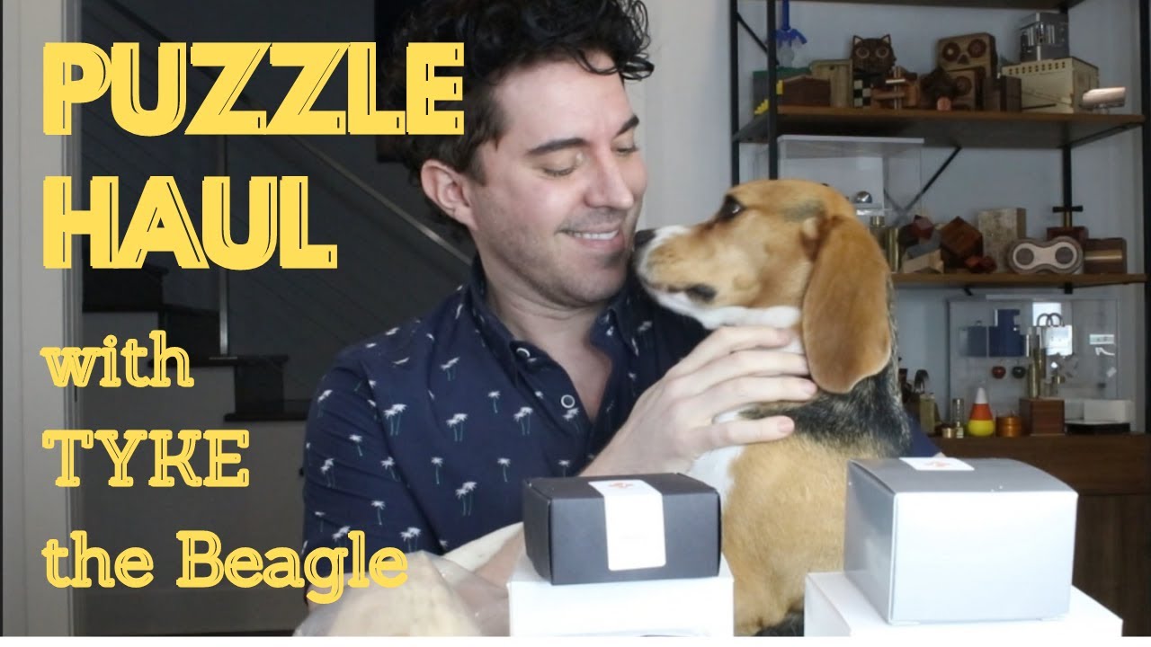 Cubic Dissection Puzzle Haul with Tyke the Beagle