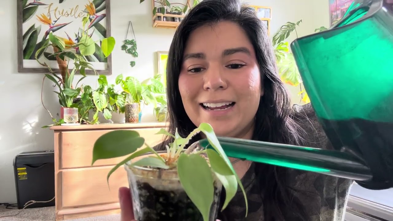 Plant Tour 2026 Part 2