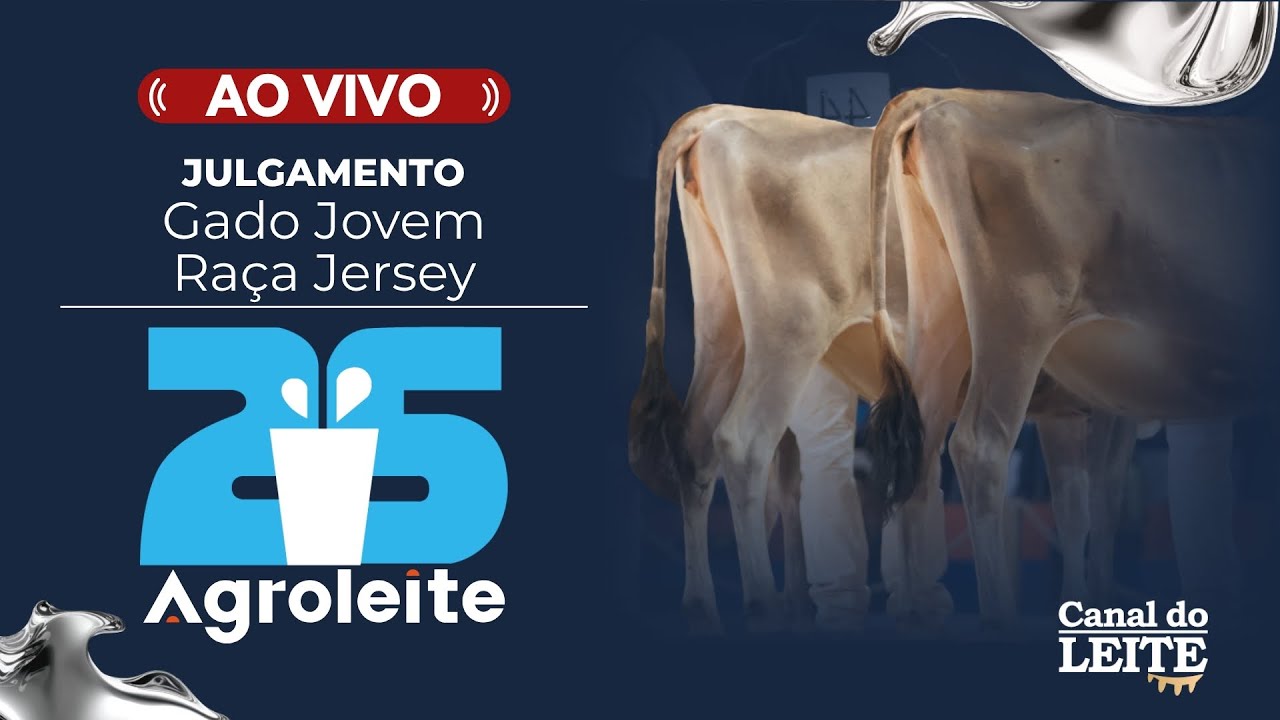 Agroleite 2025 - Julgamento do Gado Jovem da Raça Jersey
