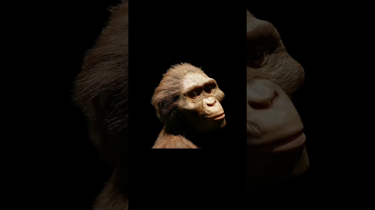 The truth you don’t know about Lucy