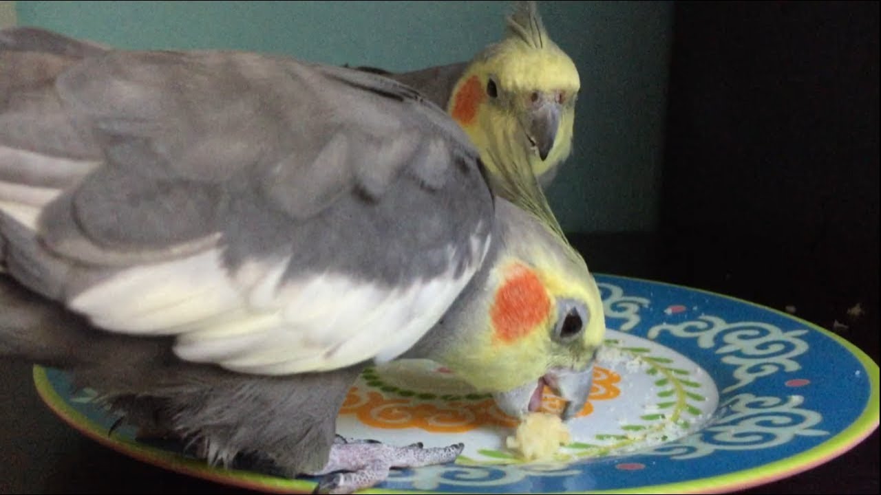 Monch the Cromb
