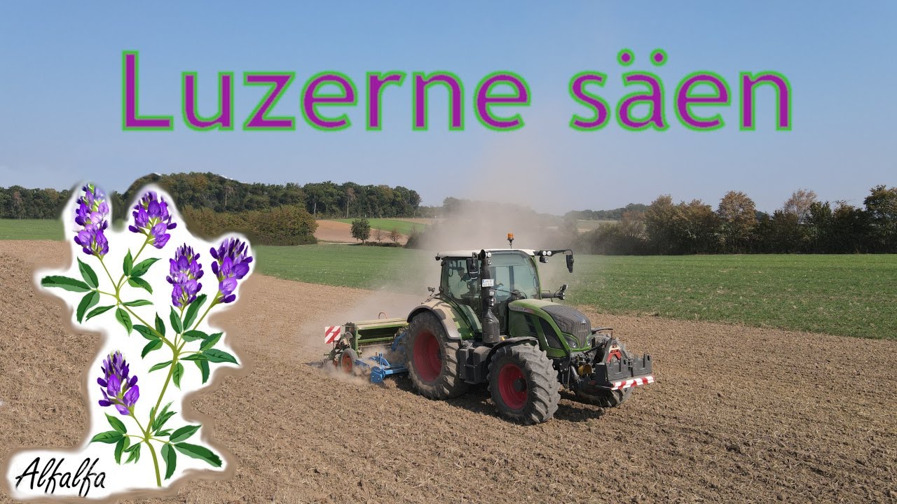Luzerne säen | Fendt 516 Vario mit Amazone Sämaschine