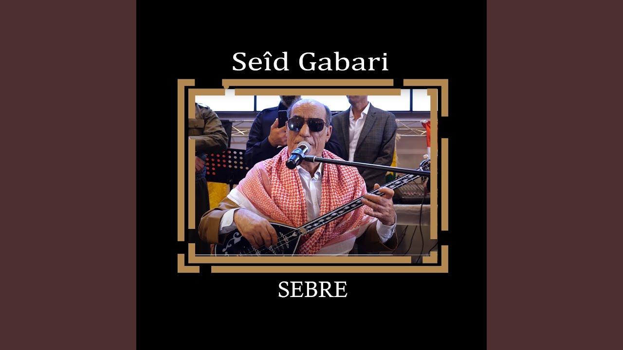 Bave Seyrane