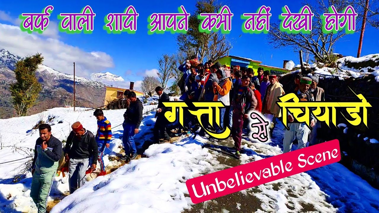 Wedding and Snowfall👰|| चियाड़ो गाँव की शादी || Pahari Village Vlog || Gattadhar Valley