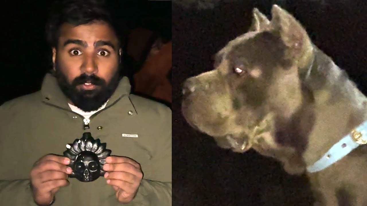 Ghost hunting with panther