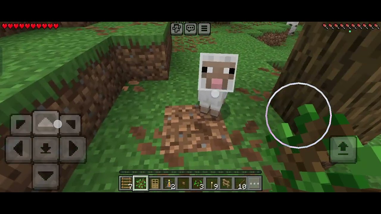 We played Minecraft trial