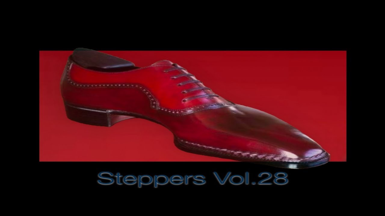 STEPPERS VOL.28 (pt.2)