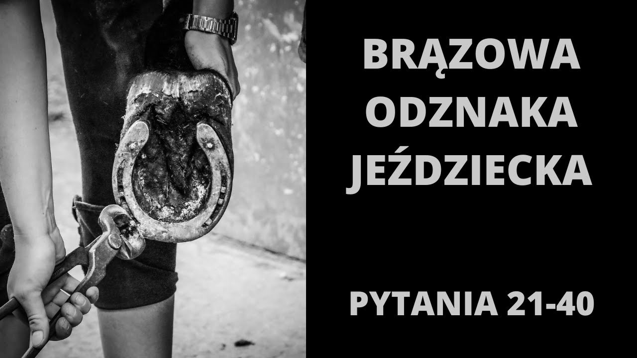 Brązowa Odznaka Jeździecka - pytania i odpowiedzi 21-40 [2022]