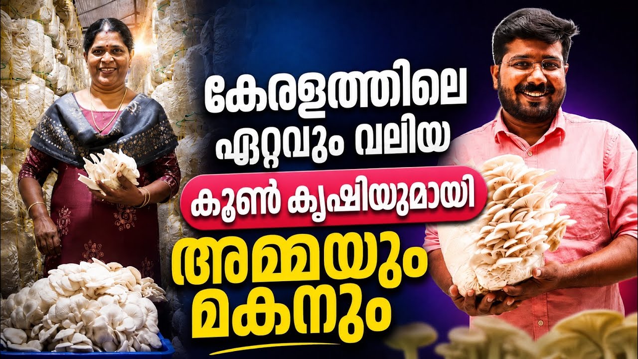 കേരളത്തിലെ ഏറ്റവും വലിയ കൂൺ കൃഷിയുമായി അമ്മയും മകനും...