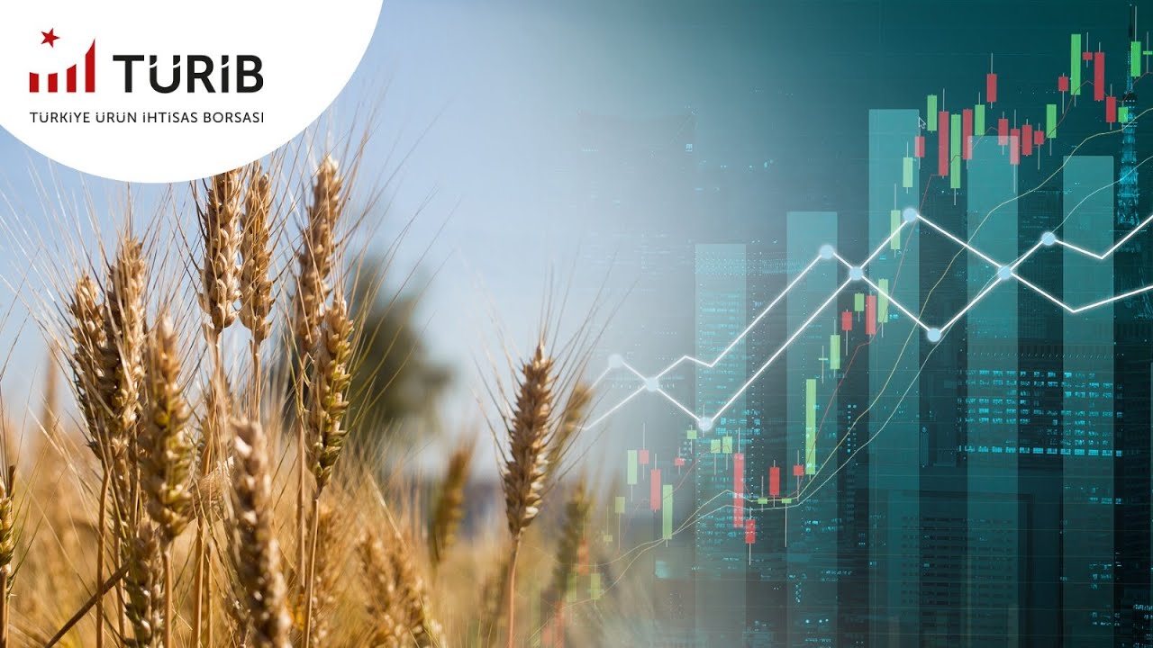 Matriks Mobil IQ Uygulamasındaki 