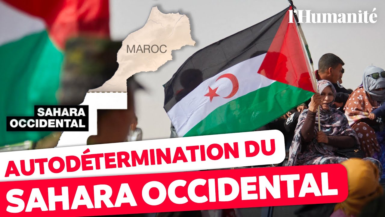 Sahara occidental : le Front Polisario prêt à négocier avec le Maroc