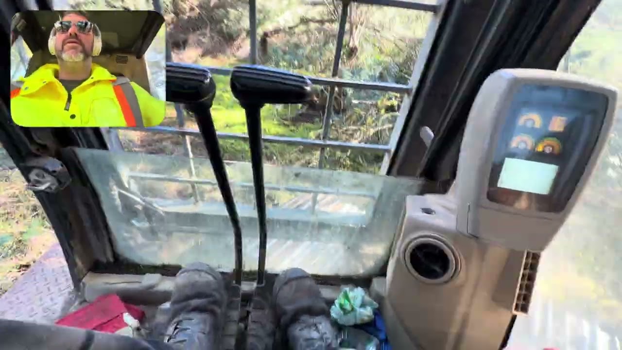 TREE FALLING 🔥🫠🤩🥰🙏 RAINFLOWER FARMS - GROUND ZERO FARM BUILDING 