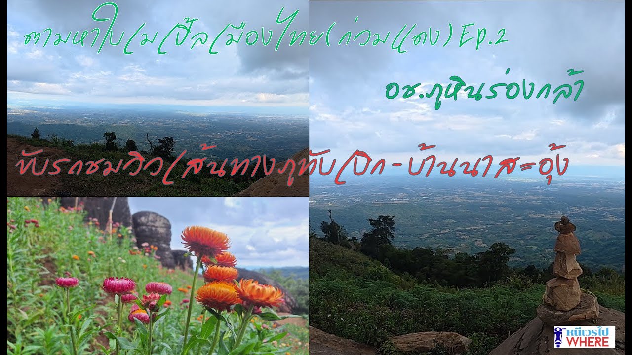 ตามหาใบเมเปิ้ลเมืองไทย EP. 2  ขับรถชมวิวเส้นทางภูทับเบิก - บ้านนาสะอุ้ง