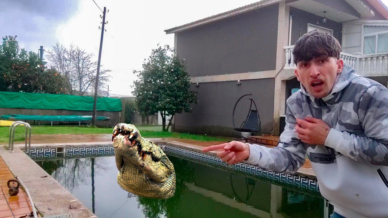 HAGO DE CEBO PARA EL MOUNSTRO DE LA PISCINA TOXICA | Davidisla