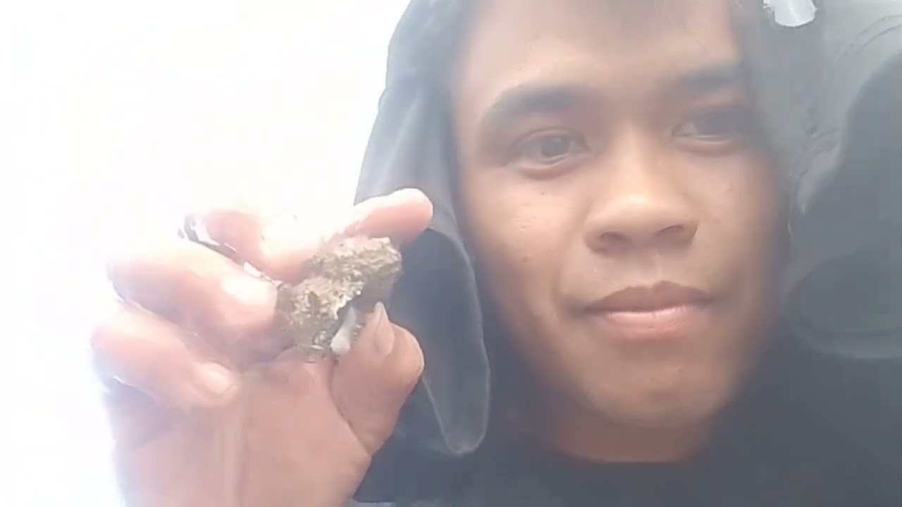 Pangunguha ng sea shell @boytapangvlogs7148 #fishing #provincelife 