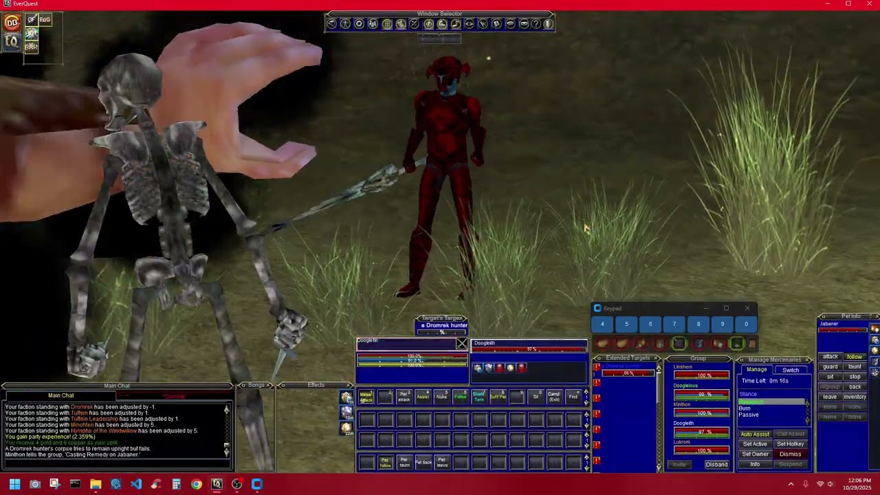 EVERQUEST: Free Multi-Boxing Software
