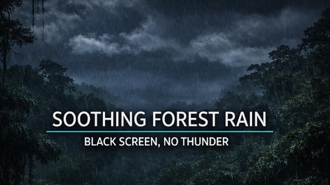 8 Hours Soothing Forest Rain – Black Screen, No Thunder | Still Night Audio