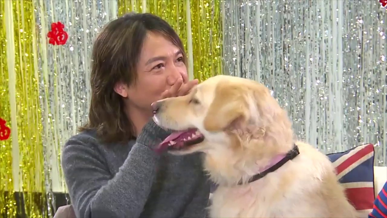 金毛尋回犬怕細狗怕到跳上梳發 煉狗術師 Eric Ko 教主人吳國敬提升狗仔安全感 (寵物狗救星 - 超級馴犬師 - EP06-1)