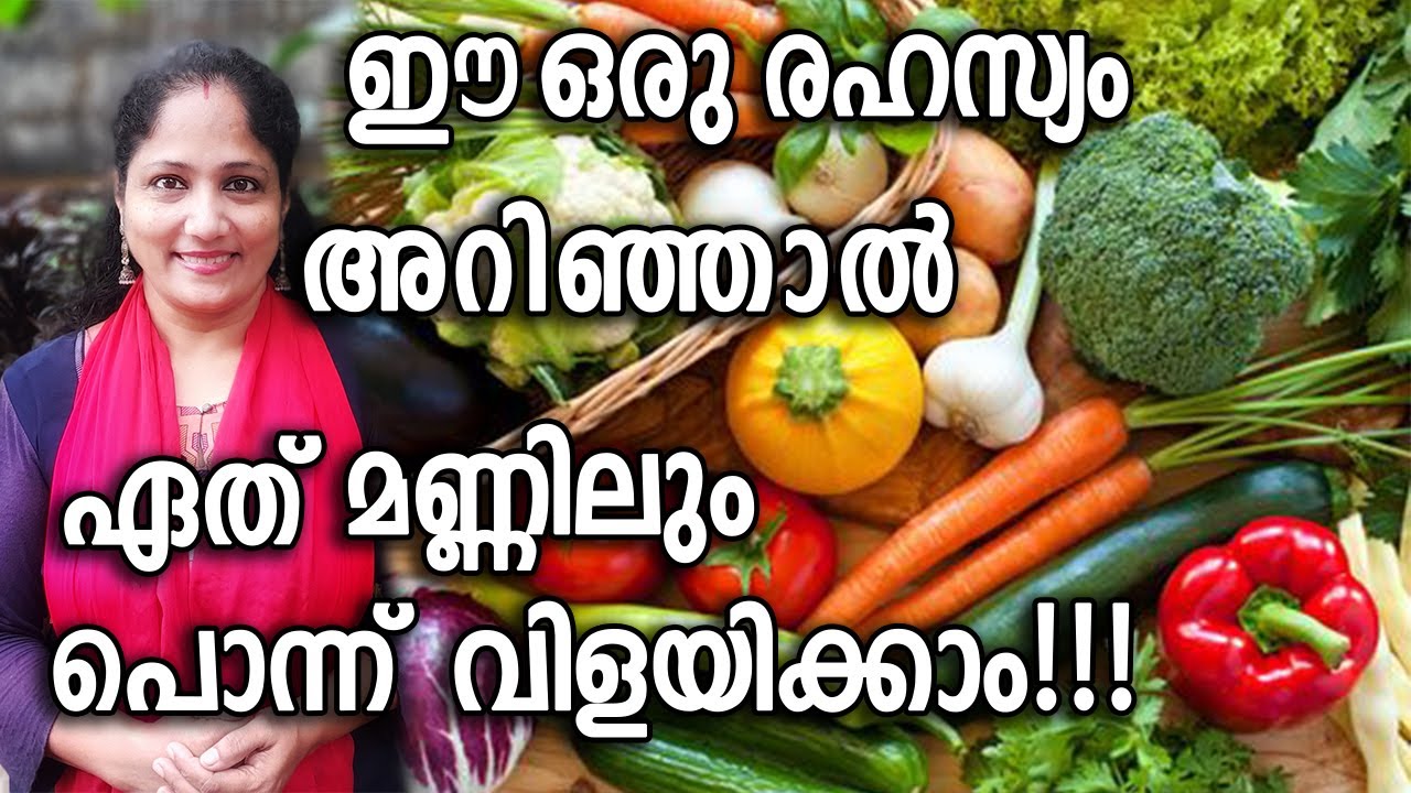 ഈ ഒരു രഹസ്യം അറിഞ്ഞാൽ ഏത് മണ്ണിലും     പൊന്ന്  വിളയിക്കാം!!! | KRISHI SOIL TIPS Malayalam