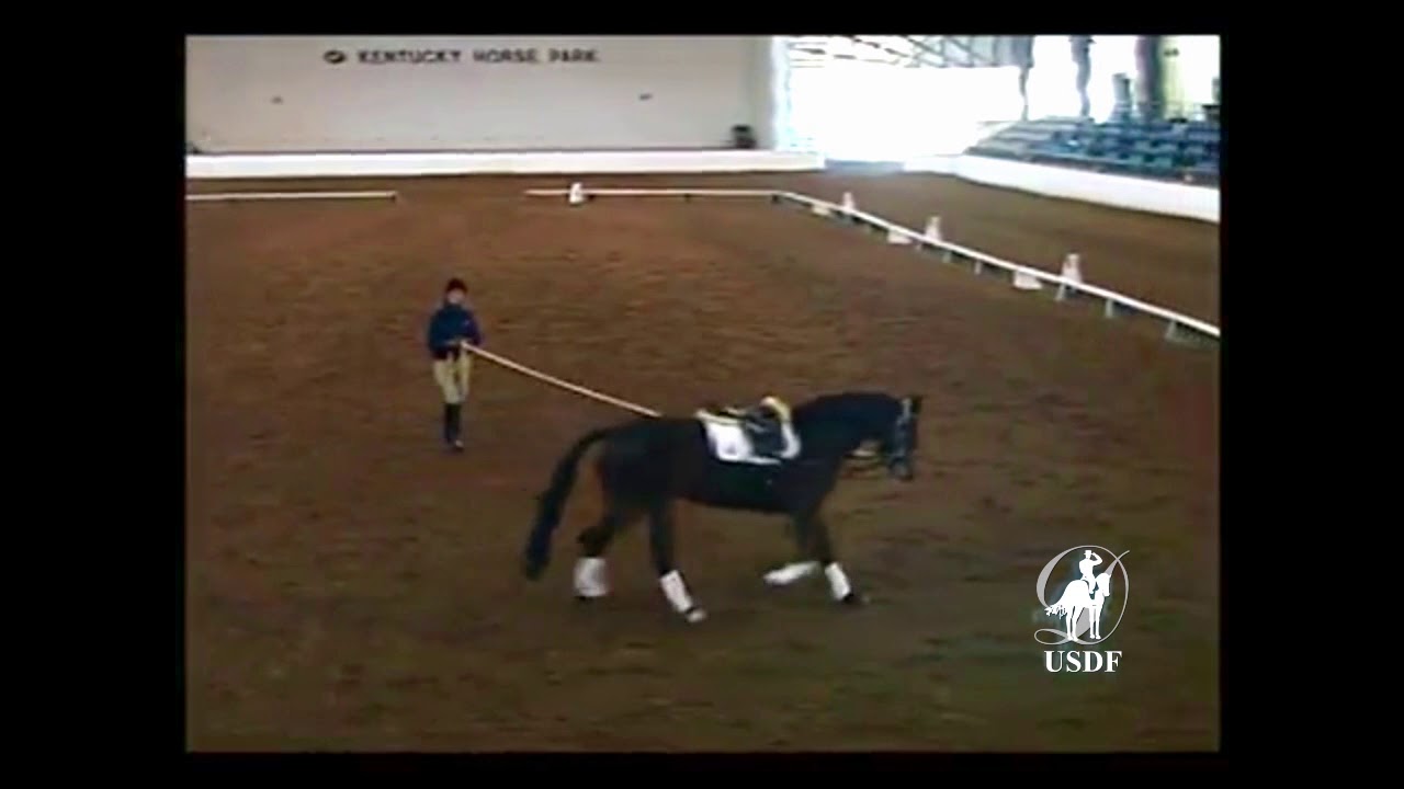 Scott Hassler on Starting the Young Horse Under Saddle