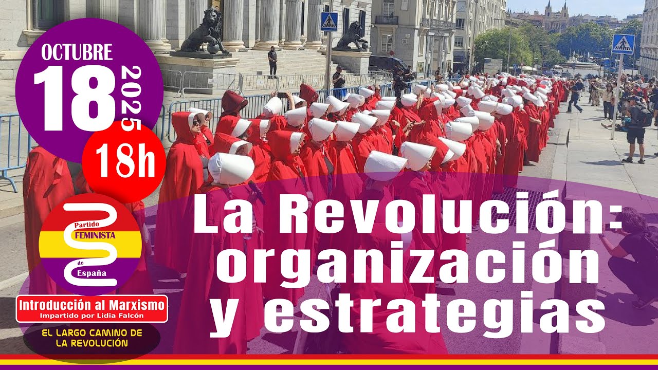 La Revolución: organización y estrategias - El Largo Camino de la Revolución