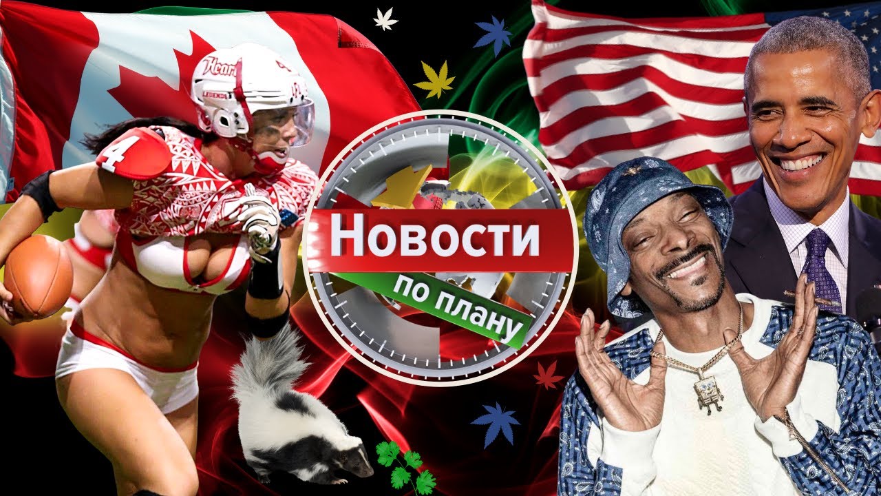 Каждый четвёртый атлет употребляет. Обама дует. Водорастворимый CBD. Новости по плану выпуск 24 #248
