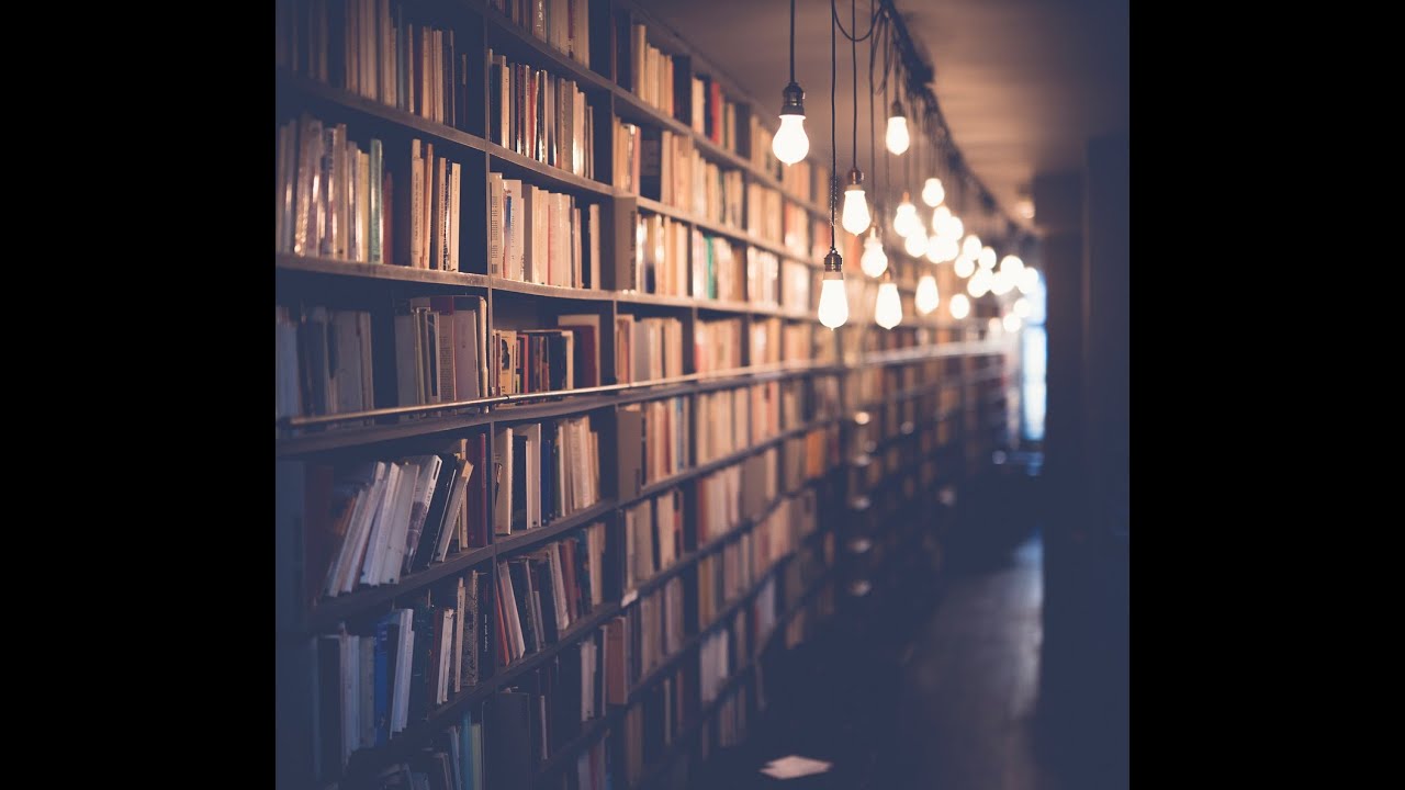 Relaxing Music for Reading & Deep Focus | Calm Study Ambience 📚