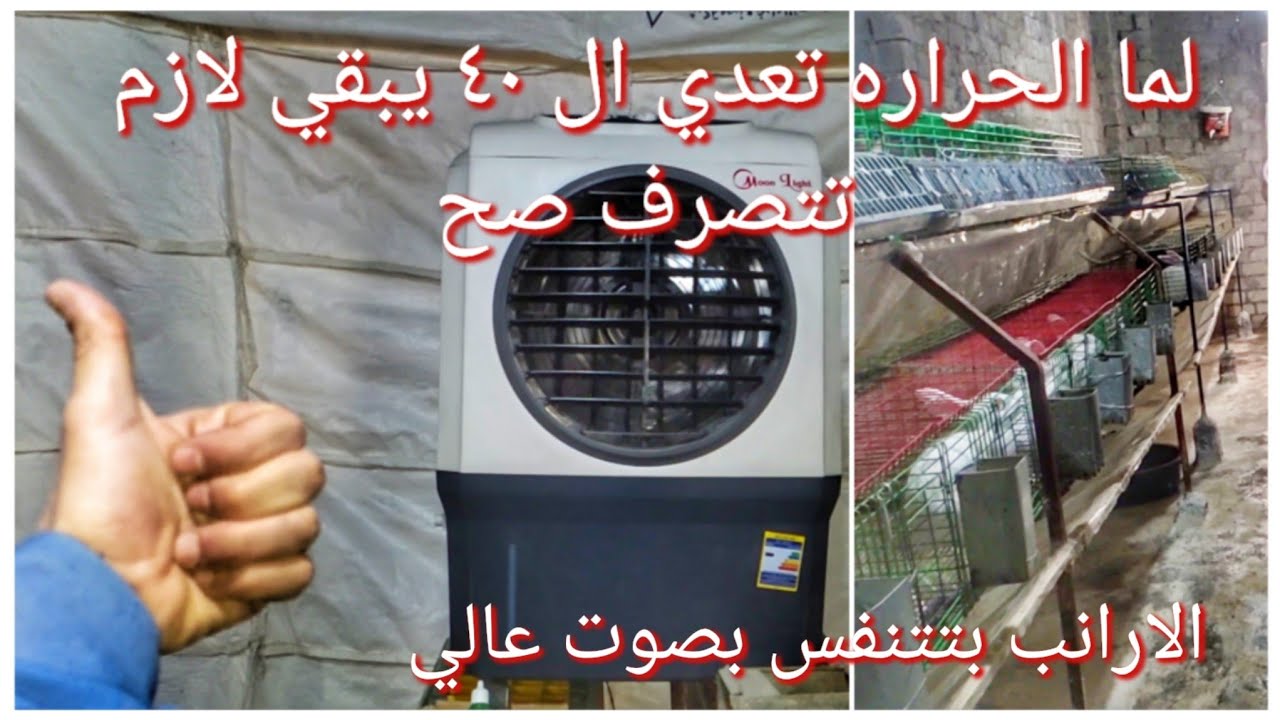 يتلحق الارانب في درجات الحراره المرتفعه يا ربنا يعوض عليك
