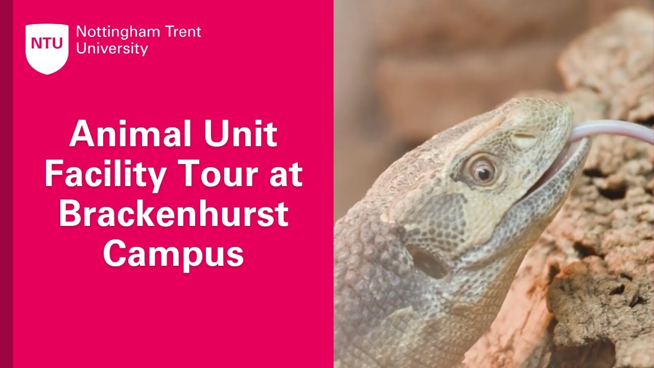 Animal Unit Facility Tour at Brackenhurst Campus