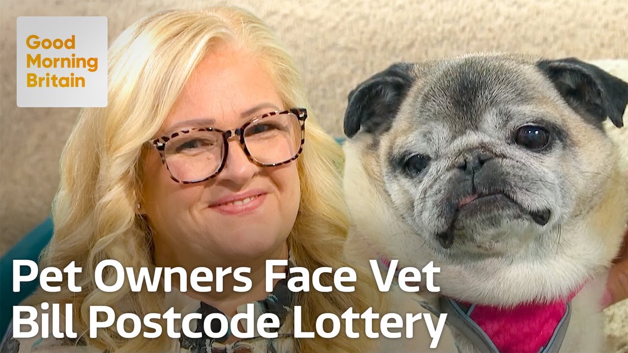 Research Reveals Huge Price Differences for Vet Bills Across the Country