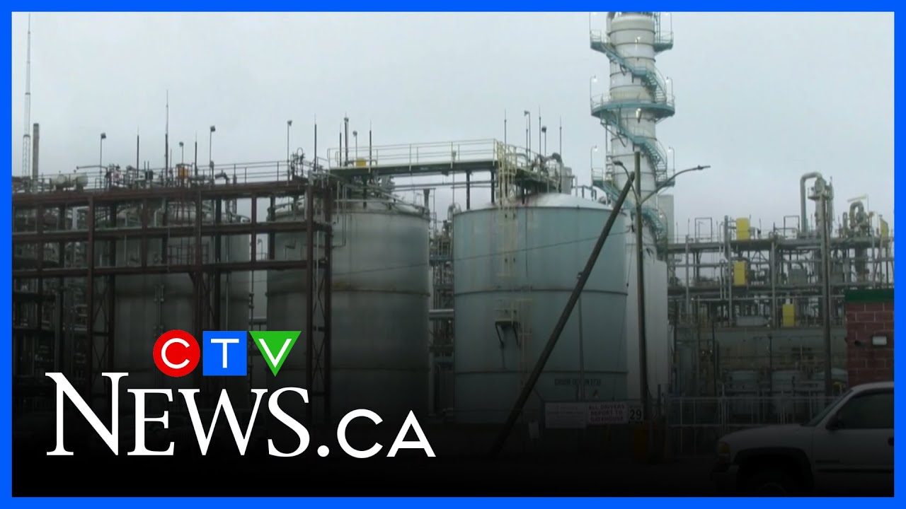 Invista plant in Maitland set to shut down