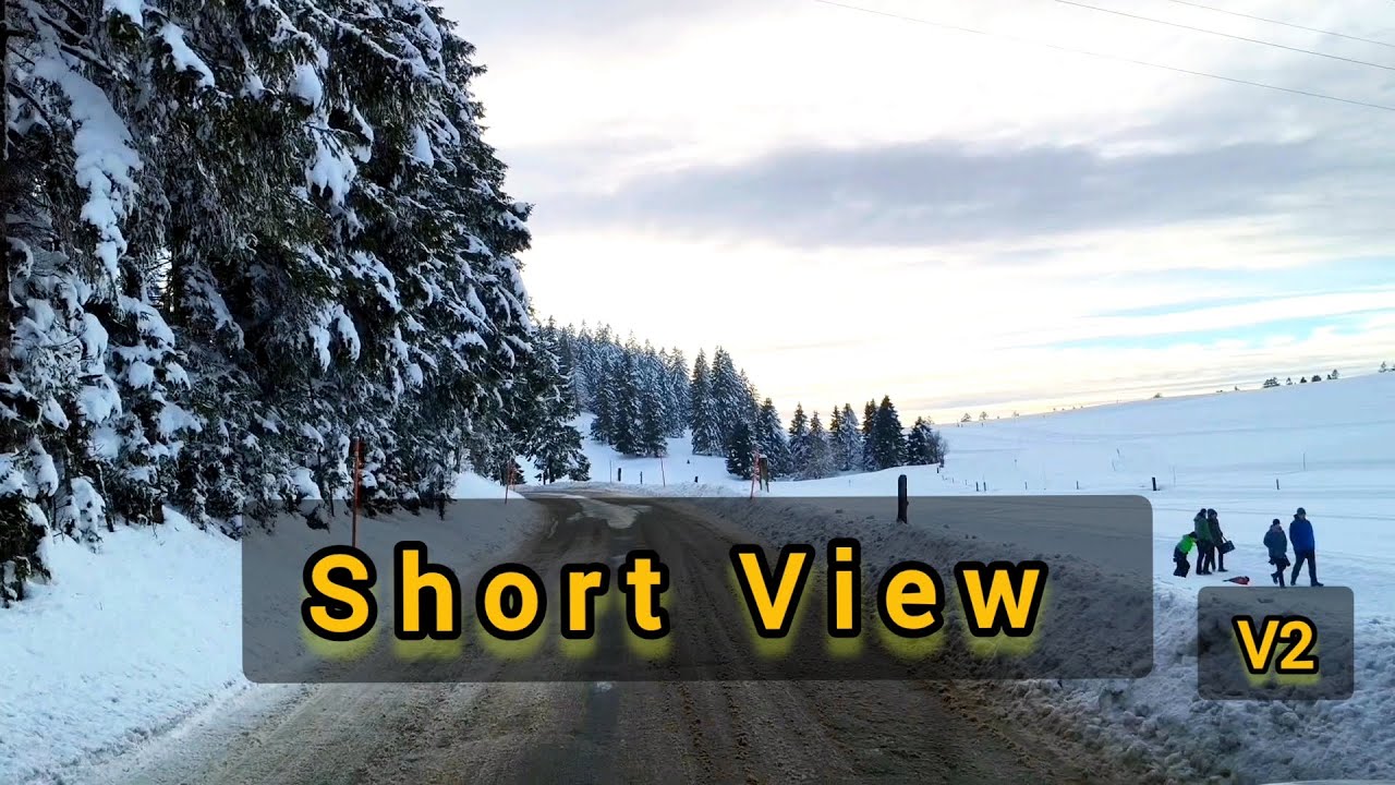 short View  V2