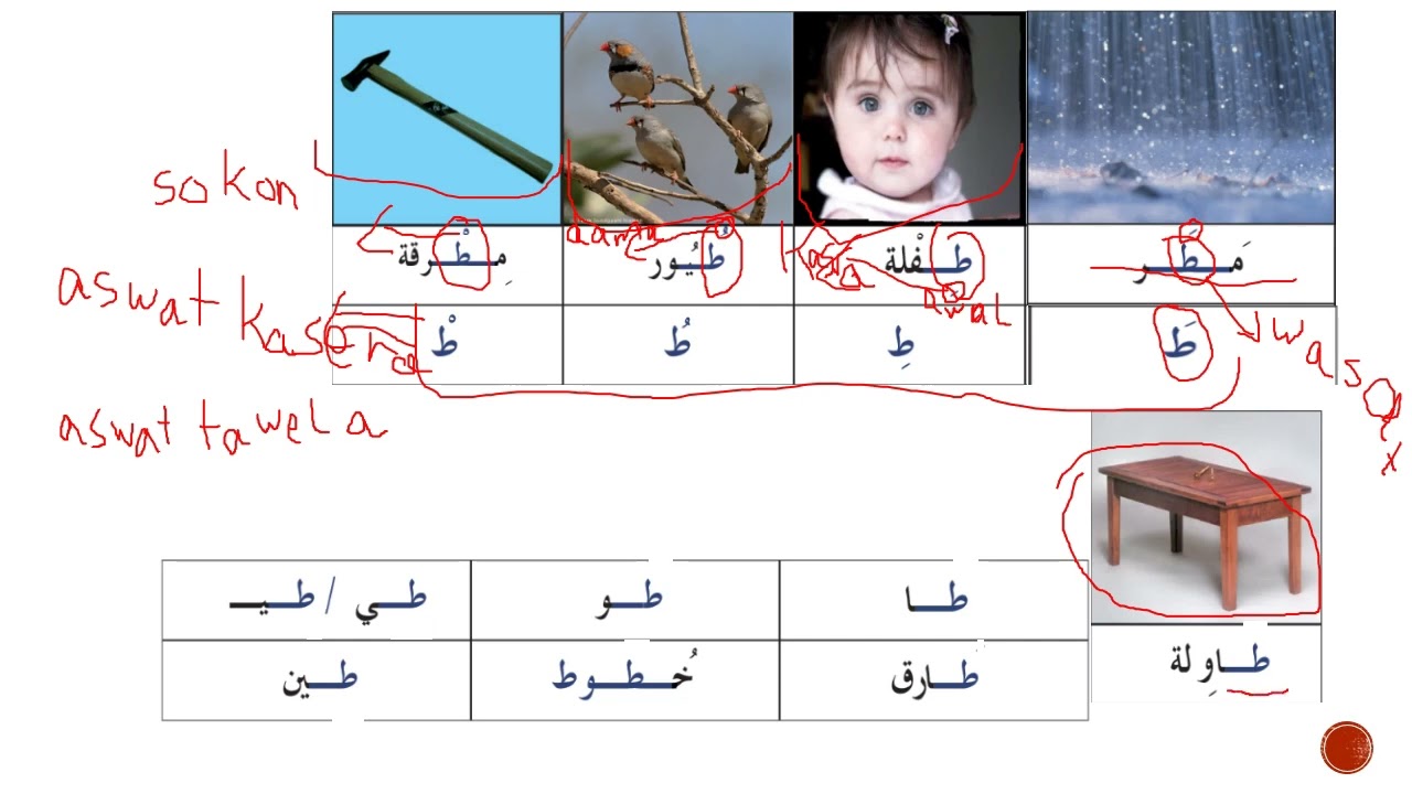 S3  Arabic FSLevel1 مبتدئ    Olec3  Video