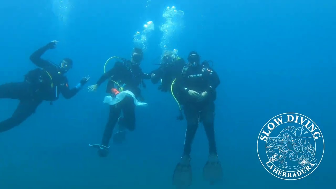20 julio d&iacute;a de la mujer buceadora con Slow Diving La Herradura