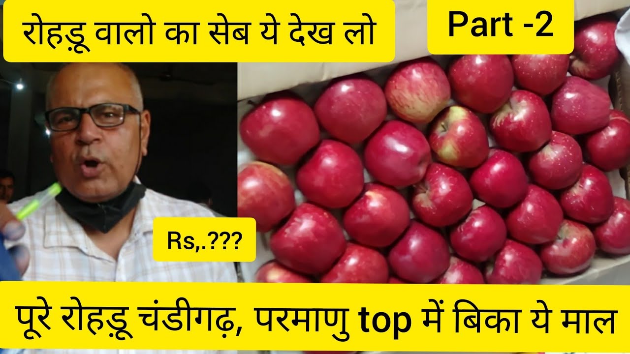 Visit Rohru Apple 🍎 Mandi First Time || Apple valley Rohru ||
