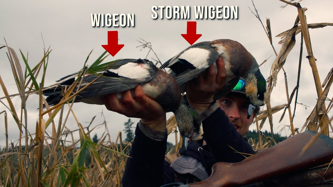 HIGDON OUTDOORS TV - 805 - 