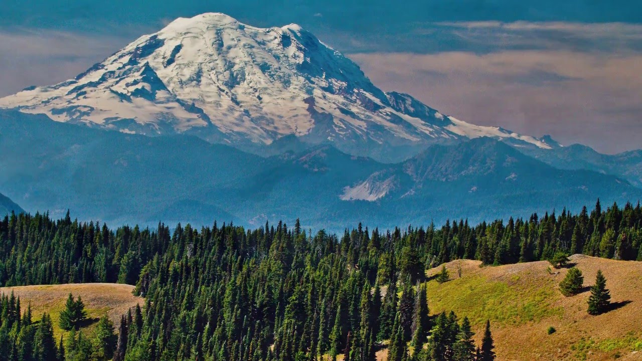 Elk Country Chronicles - Rock Creek, WA