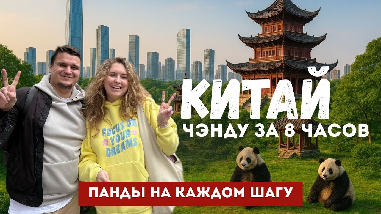 Город панд: что успеть посмотреть в Чэнду за 8 часов | Китай без визы | Панды на каждом шагу