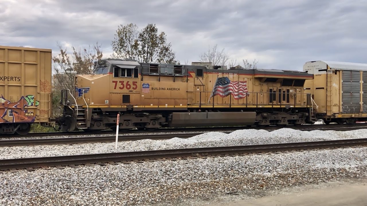 Longest Union Pacific Train I Ever Filmed!  DPU Working Hard, Rolling Boxcar Graffiti, B&O Signals