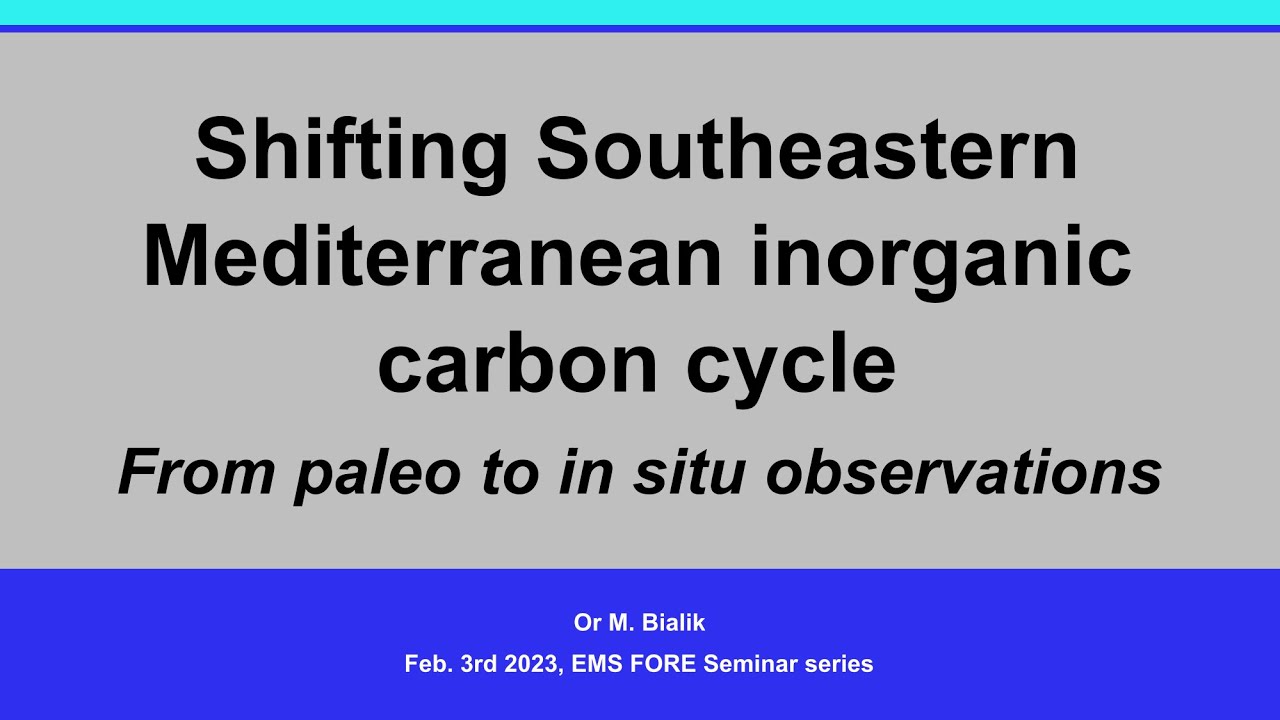 Shifting inorganic carbon cycles of the Eastern Mediterranean - form paleo to in situ