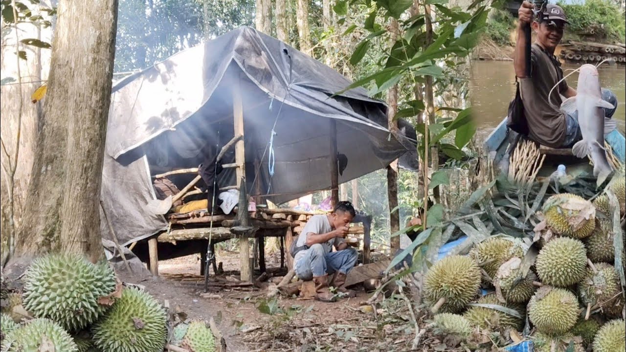 BERMALAM DI PONDOK DAN MEMANCING IKAN  PART 1 | CAMPING MUSIM BUAH DURIAN