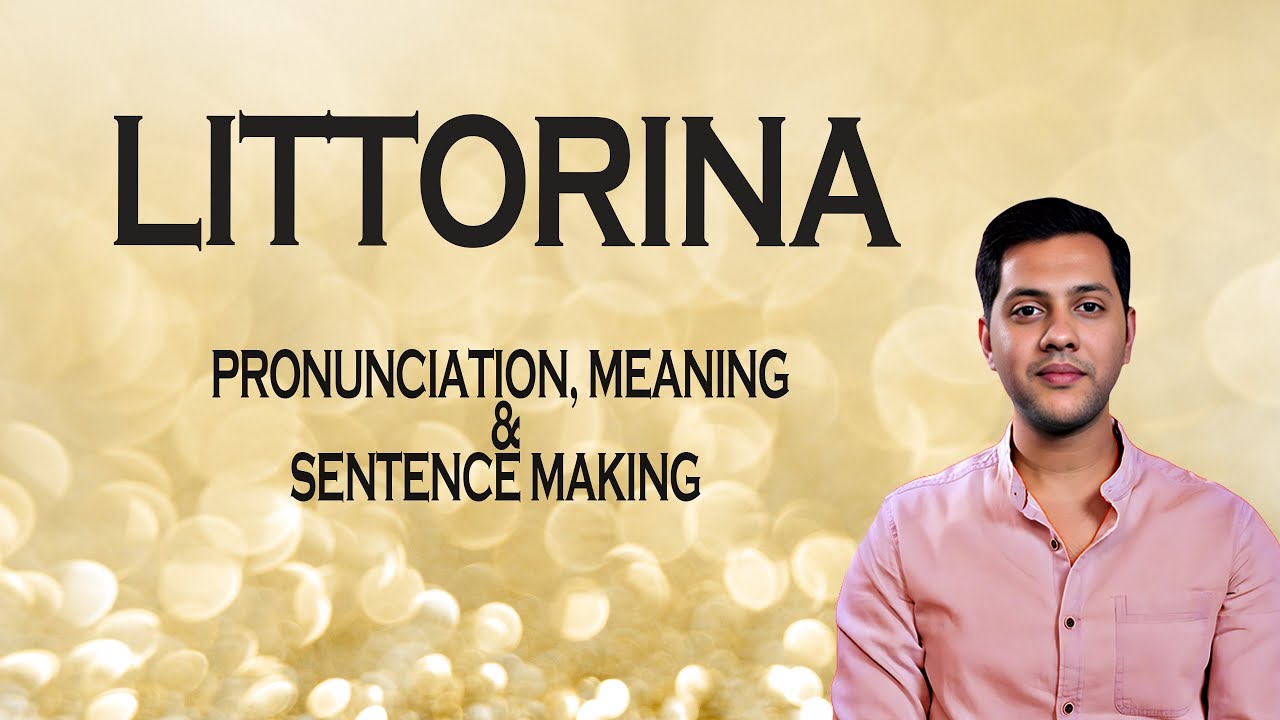 Littorina - Meaning_&_Pronunciation_Word_World_Audio_Video_Dictionary