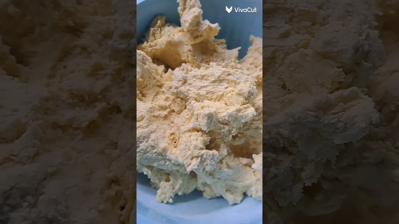 بيتفوراتي الجميله أول مره