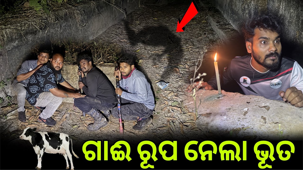 ଗାଈ ରୂପ ନେଲା ଭୂତ#1003