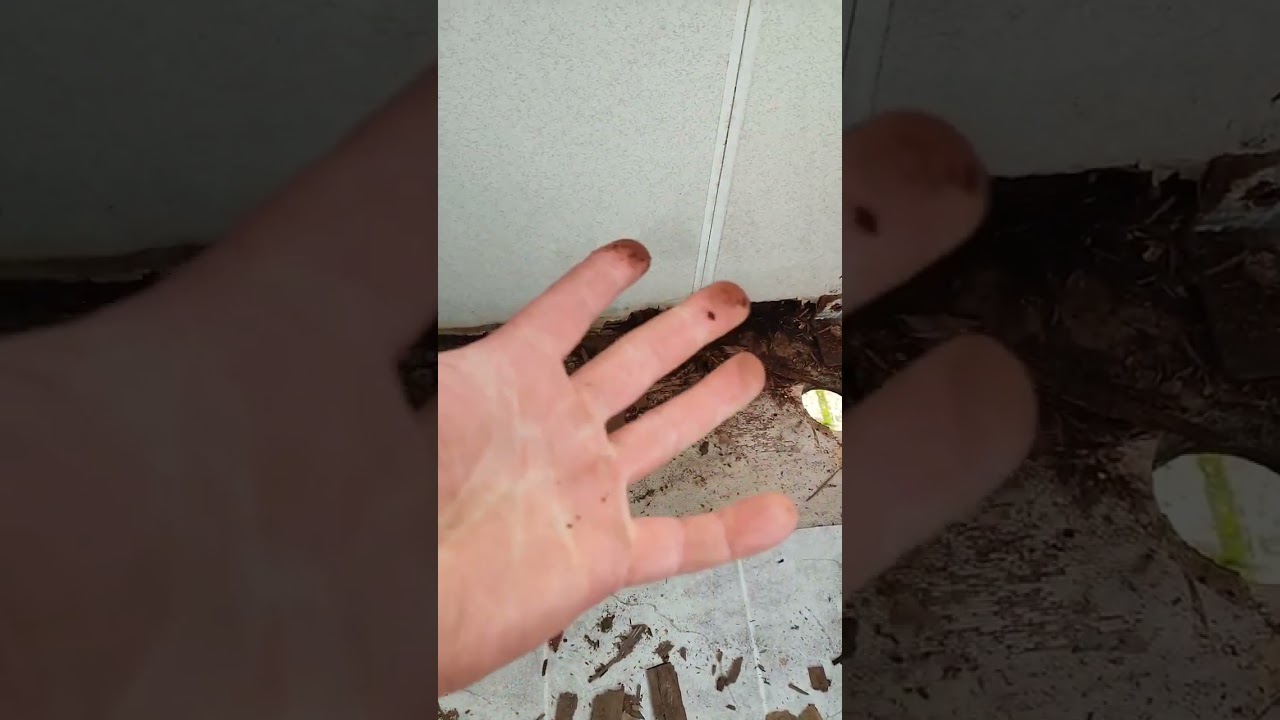 Caravan Morscherboden durch Alufrass, und Serviceklappe mit Silikon abgedichtet #renovation