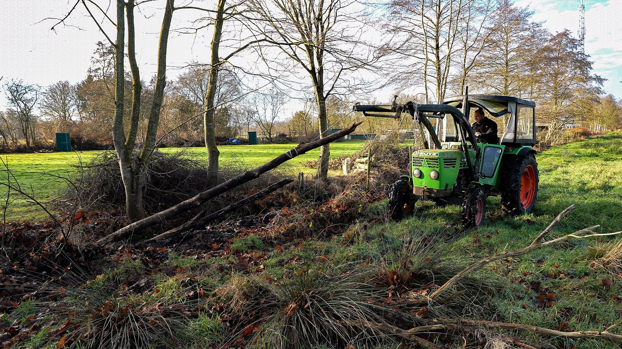 Baum bergen mit dem Deutz 4006 - Ehrliche Traktor Arbeit!